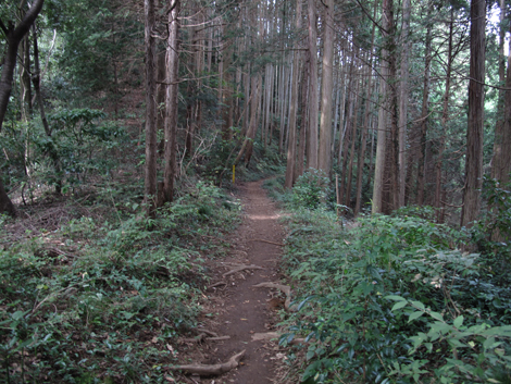 20161014hike (94)